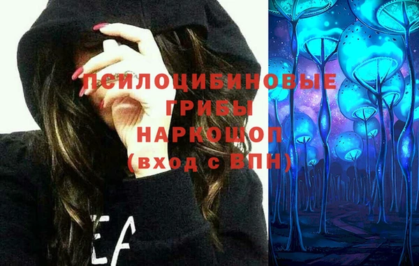 прущий лед Вязники